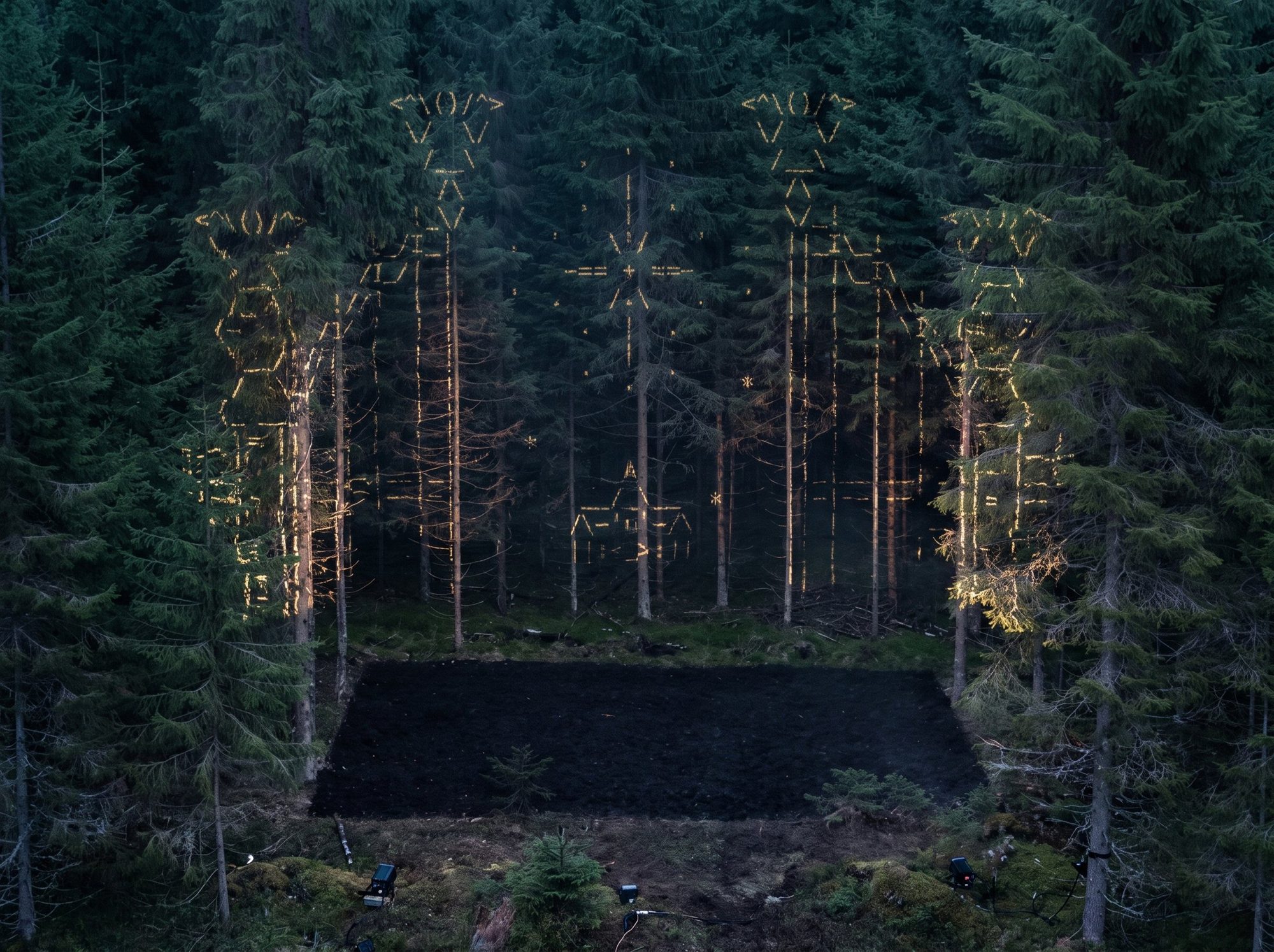 ASCII projection on spruce trunks at night