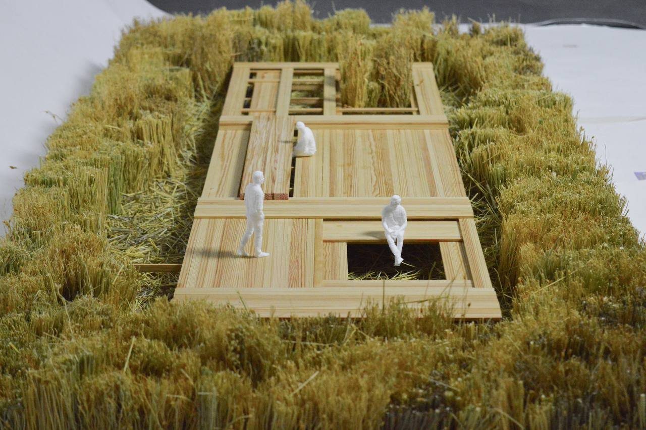 Competition model of the pavilion