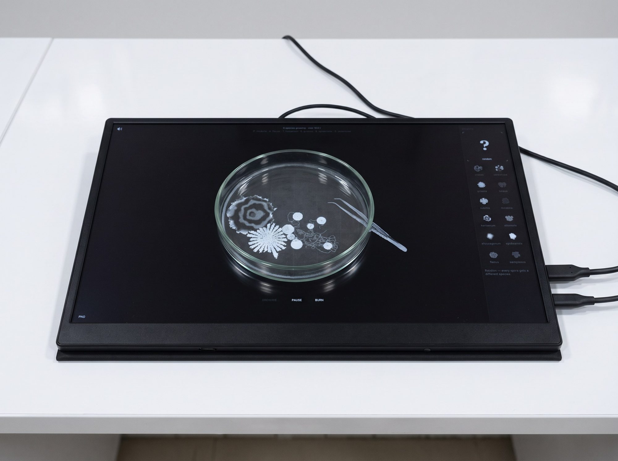 Mold.log running on a portable screen on a white table